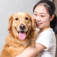 woman hugging golden retriever