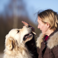 woman playing with golden retriever