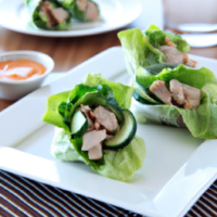 lettuce wraps with turkey and cucmber