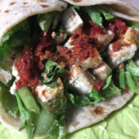 turkey cranberry wrap