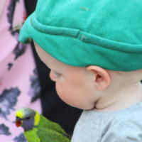 oiseau vert sur un enfant de 2 ans