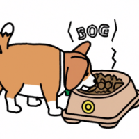 a dog feeder dispensing food → dog finishes fast → looks bored